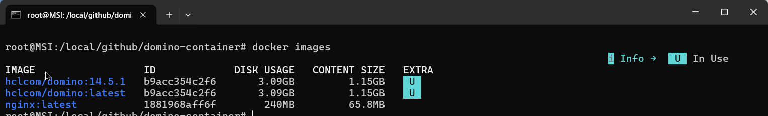 docker images output showing hclcom/domino:14.5.1 image