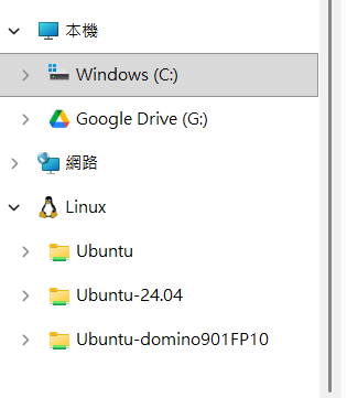 既有 + 新建的 WSL distro
